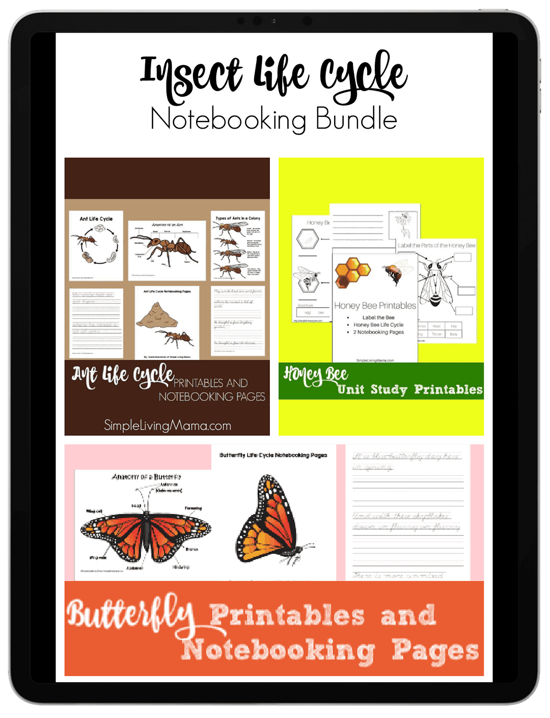 insect-life-cycle-notebooking-bundle-family-style-homeschooling